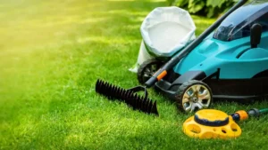 Lawn tools including a rake, mower, sprinkler, and bag of fertilizer, set on a beautiful lush green lawn.