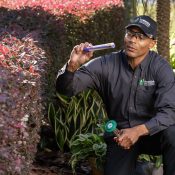 Technician inspecting bushes next to a house | Florida Pest Control serving Gainesville, FL